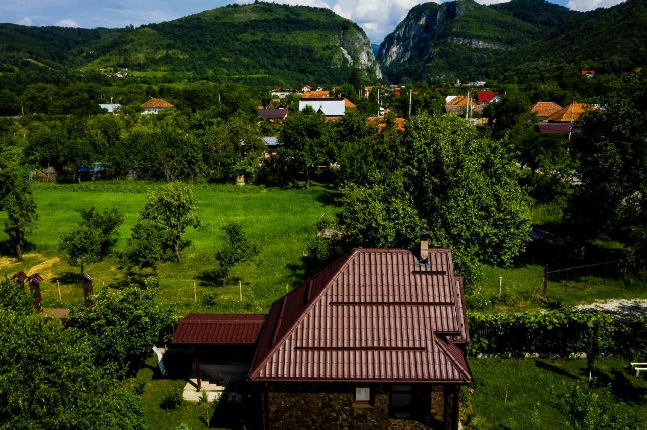Conacul Caterinei Hotel Polovragi Exterior photo