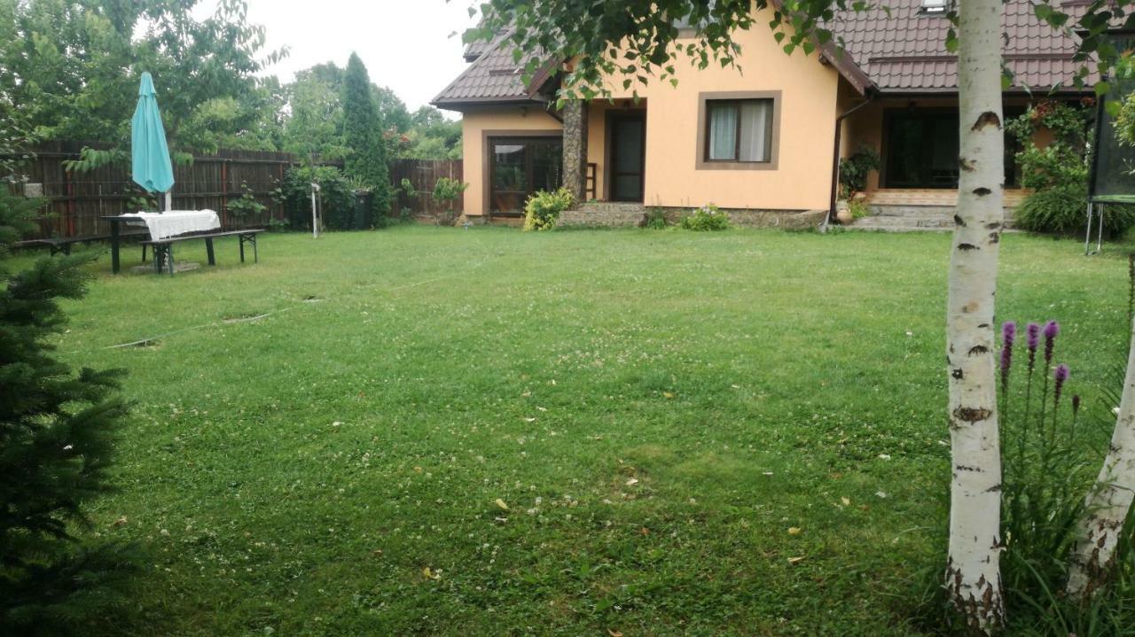 Conacul Caterinei Hotel Polovragi Exterior photo